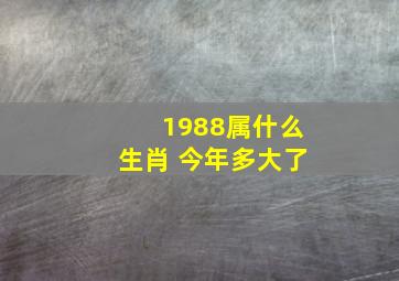 1988属什么生肖 今年多大了